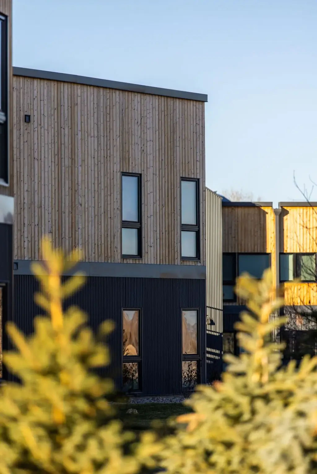 Close view of Teton Flats wood and dark metal siding and windows, framed by evergreen branches